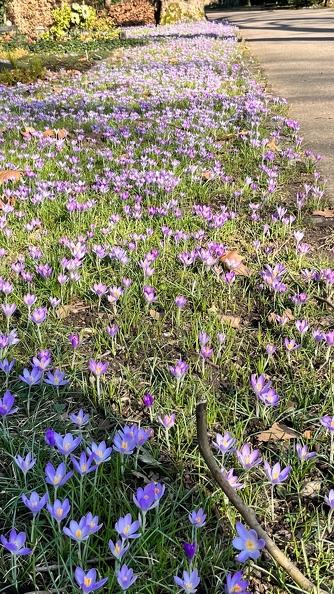 23-02-13 12-49-01 4185.jpeg